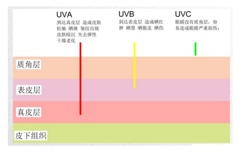 QQ截图20210611161543.png